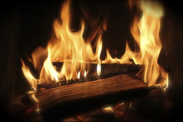 Es muss nicht immer Holz sein! Bild: Es muss nicht immer Holz sein!
