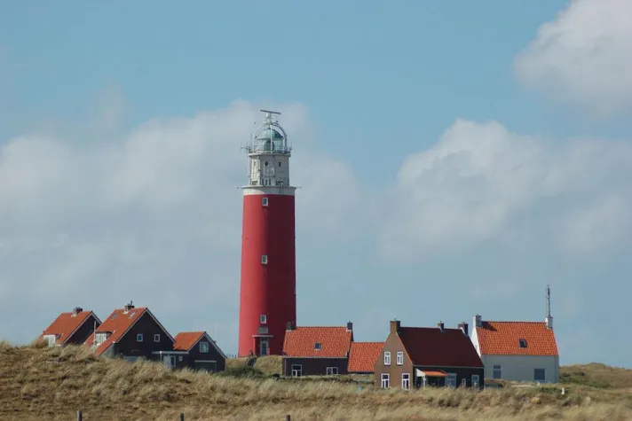 Bild: Ein Ferienhaus mit Hund auf Texel
