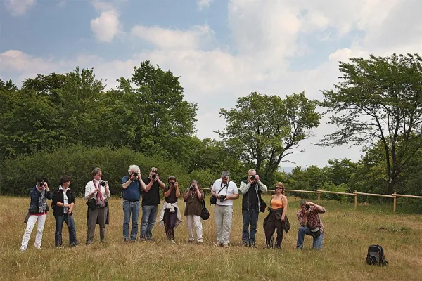 Fotoentdeckungsreise auf dem Vulkan Vogelsberg Bild: Fotoentdeckungsreise auf dem Vulkan Vogelsberg