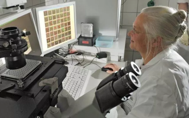 Bild: Tumor Medikamente vorab am Patientenblut testen