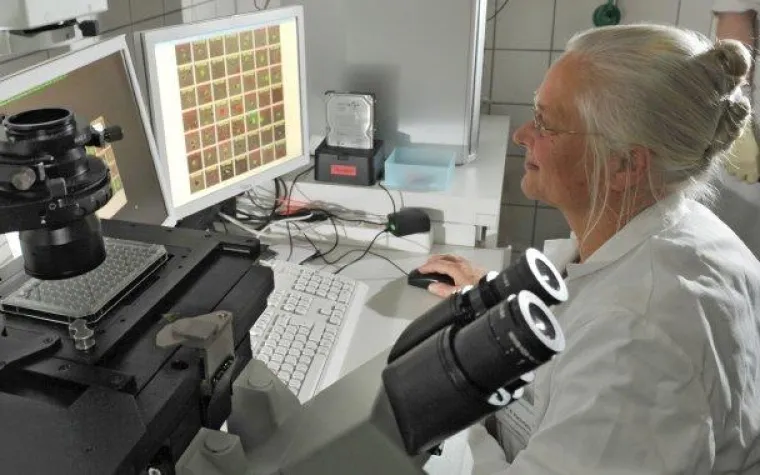 Tumor Medikamente vorab am Patientenblut testen Bild: Tumor Medikamente vorab am Patientenblut testen