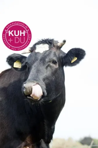 Bild: Vergessene Tiere: Kampagne fordert mehr Schutz für Milchkühe
