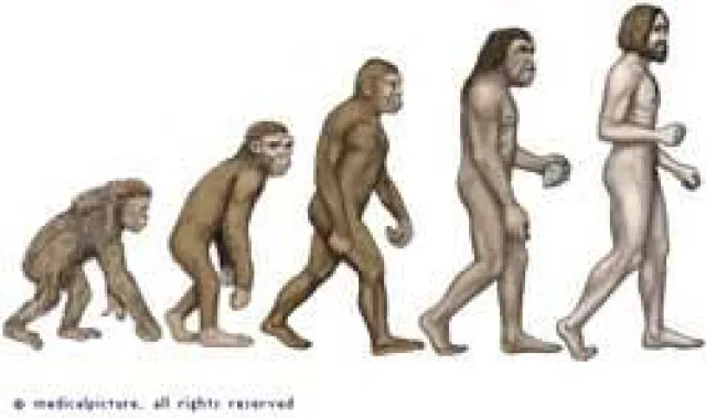 Bild: Ehrentag für den Charles Darwin, Vater der Evolutionstheorie