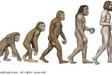 Bild: Ehrentag für den Charles Darwin, Vater der Evolutionstheorie