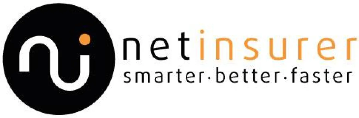 netinsurer Logo mit Icon und Schriftzug