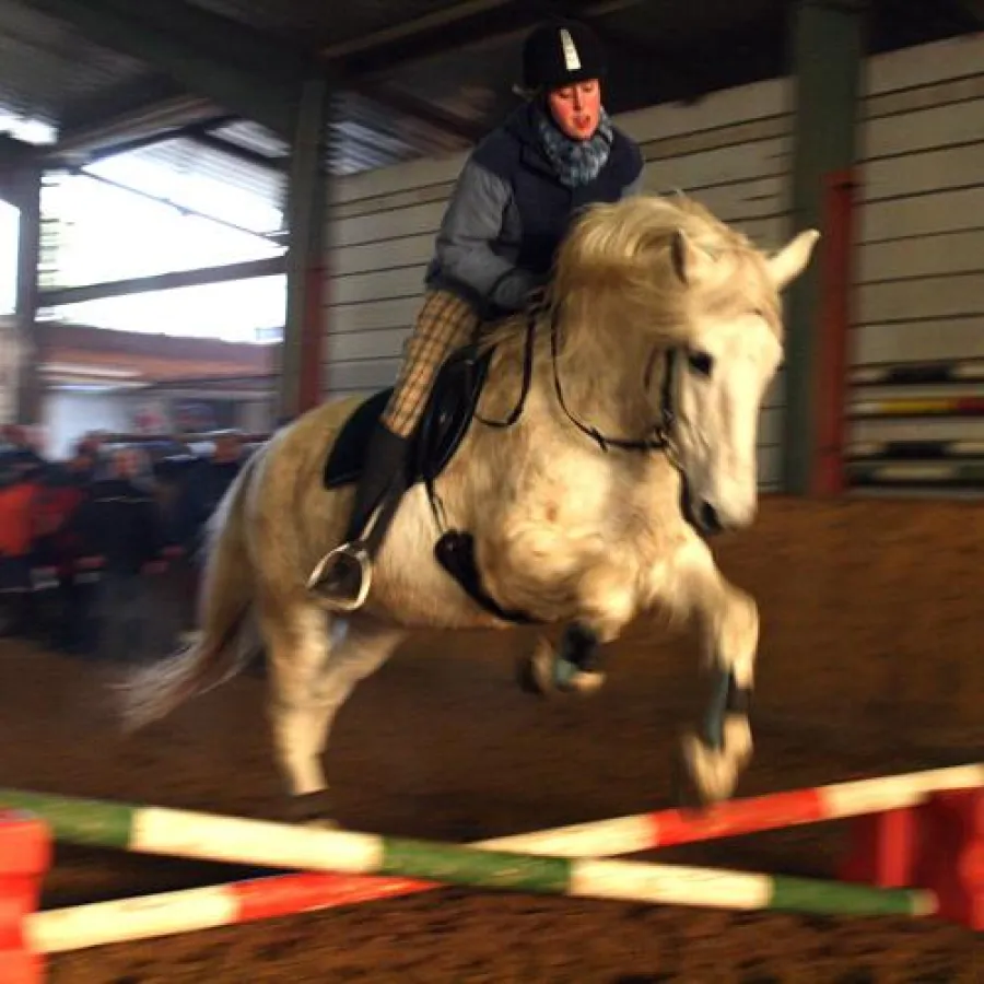 Vereinsmitglied Christina mit Pferd Cheyenne beim Neujahrssprung.