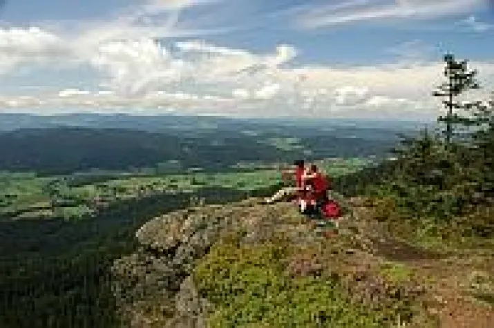 Bild: Campingplatz am Isarradweg in Bayern