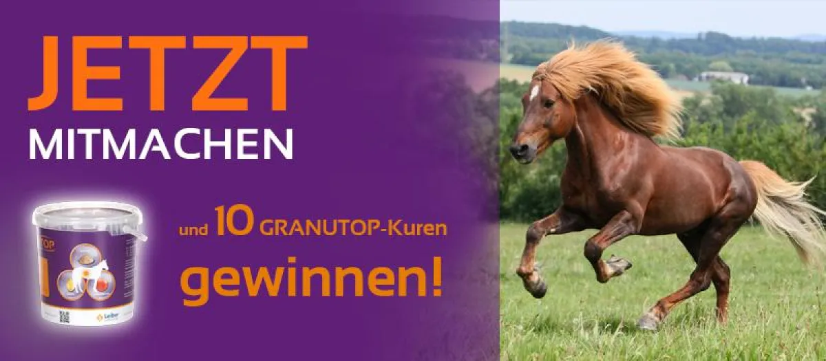 Jetzt 10 GRANUTOP-Kuren gewinnen für die Regeneration nach einem Hufreheschub