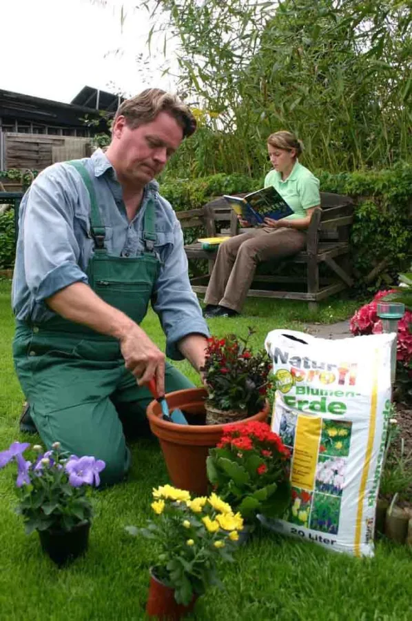 Xylit als Zuschlagstoff für Blumenerde gibt Pflanzen sicheren Halt