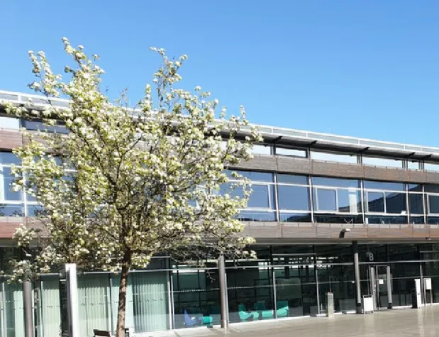 Bild: CORONA: Kostenfreies Wiederholungssemester im MBA-Fernstudienprogramm am RheinAhrCampus in Remagen