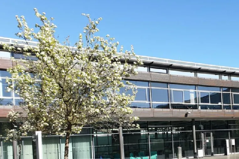 CORONA: Kostenfreies Wiederholungssemester im MBA-Fernstudienprogramm am RheinAhrCampus in Remagen Bild: CORONA: Kostenfreies Wiederholungssemester im MBA-Fernstudienprogramm am RheinAhrCampus in Remagen