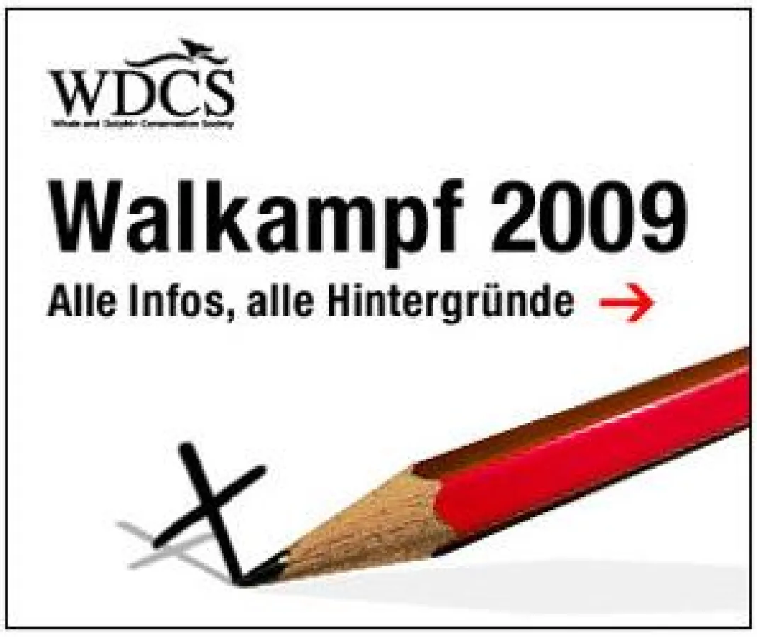 Online-Banner „Walkampf 2009 – Alle Infos, alle Hintergründe“