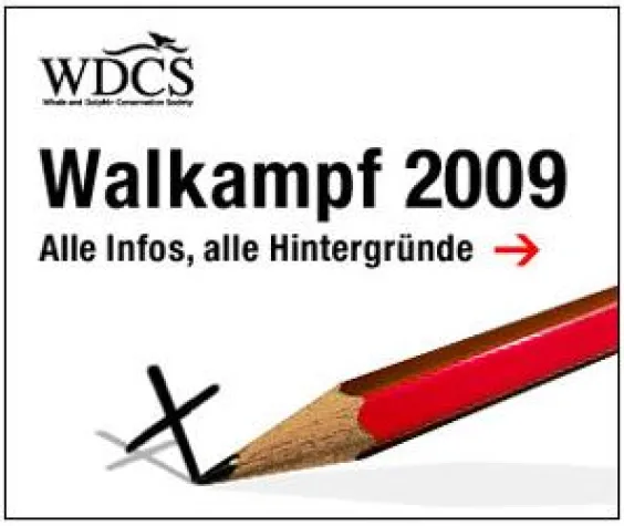 Bild: denkwerk zieht positive Bilanz nach Walkampf 2009 im Web