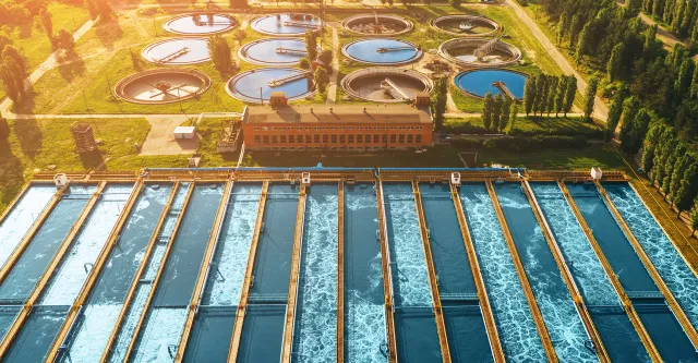 Bild: Bakterien sorgen für sauberes Wasser