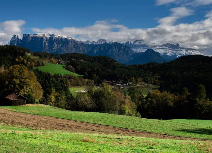 Bild: Traumurlaub im Hotel Sonnenheim