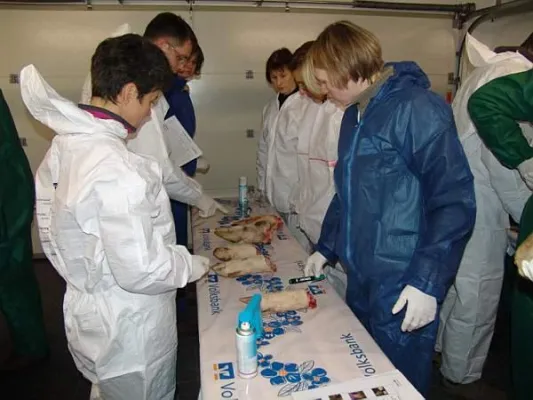 Klauengesundheit Schwein – wichtiger als bisher gedacht Bild: Klauengesundheit Schwein – wichtiger als bisher gedacht