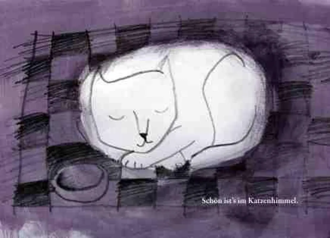 Katzen möchten in den Katzenhimmel