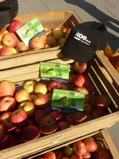 Bild: Vitaminschub zum Semesterstart: CopyGiant schenkt Frankfurter FH-Studenten Bio-Äpfel