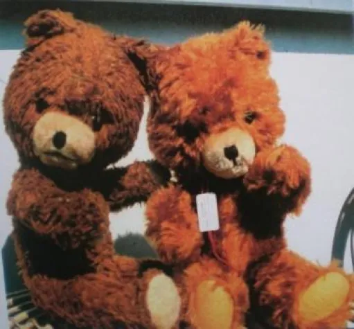 Bild: Die TEDDY-KLINIK ist wieder da