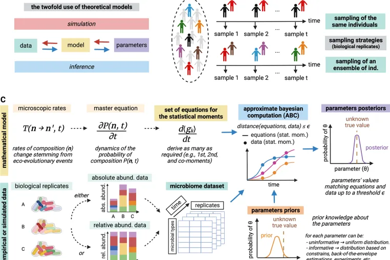 Bild: Neue Methode für die Analyse von Mikrobiom-Interaktionen