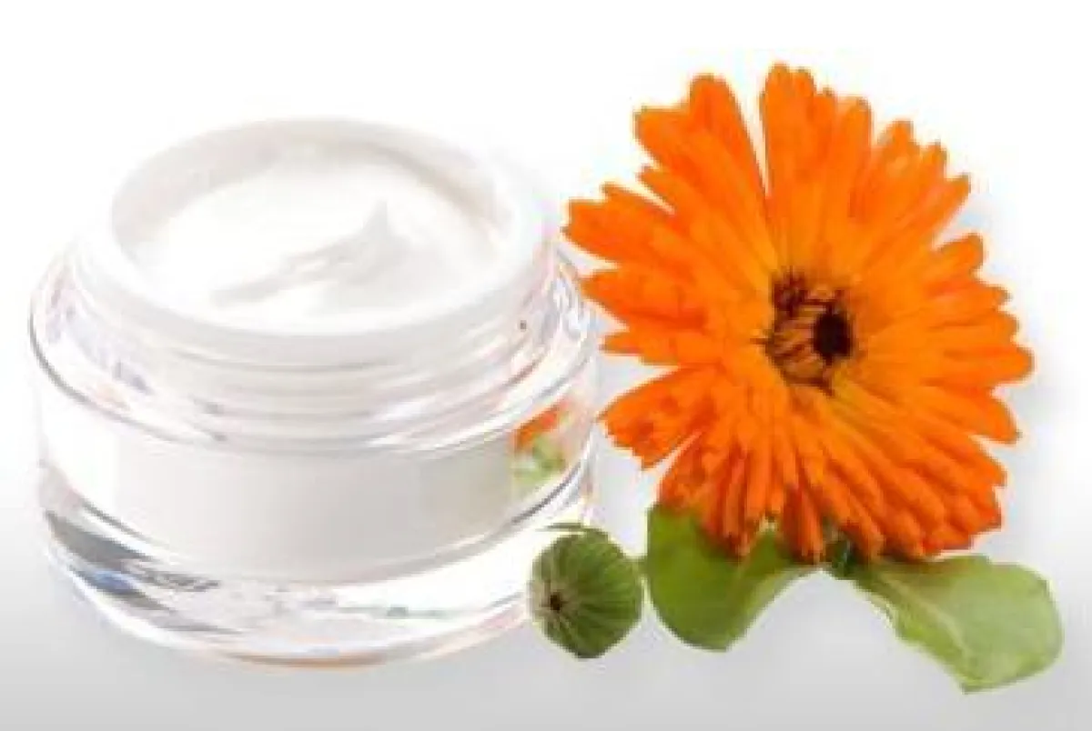 Dank der Ringelblume ist die Naturcreme sehr effektiv