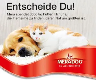 Bild: Die neue Meradog Tierheim-Spendenaktion beginnt jetzt