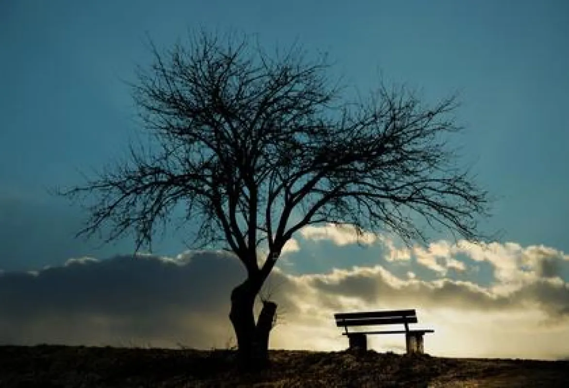 Trauerarbeit bietet die Berliner Praxis für Psychotherapie Gepäckabgabe © Petair - Fotolia.com