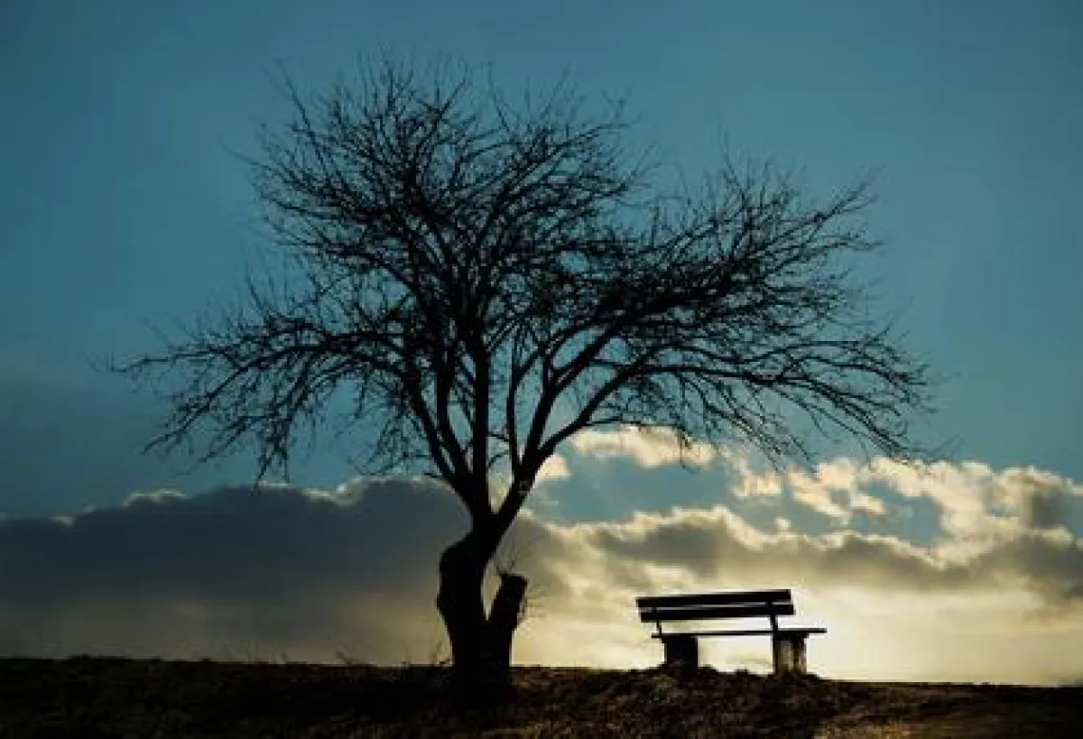 Trauerarbeit bietet die Berliner Praxis für Psychotherapie Gepäckabgabe © Petair - Fotolia.com