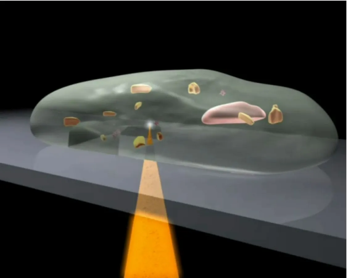 Prinzip des Laser-Mikrotoms