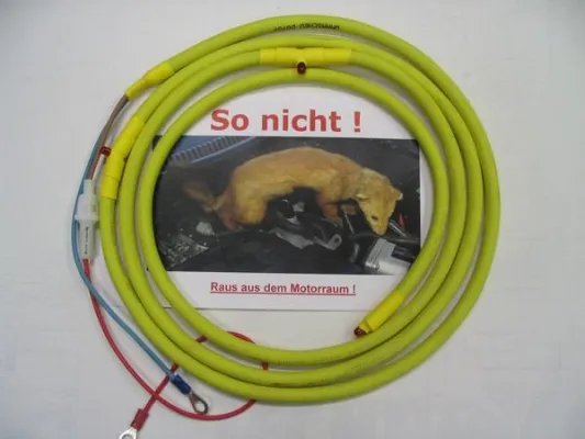 Bild: Marderfeind, keine Marder im Motorraum