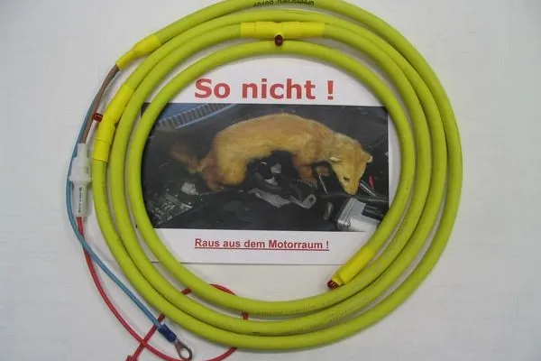 Bild: Marderfeind, keine Marder im Motorraum