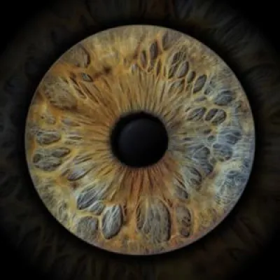 Iris Project Fotografie - ein Kunstwerk von Ihrer Iris Bild: Iris Project Fotografie - ein Kunstwerk von Ihrer Iris