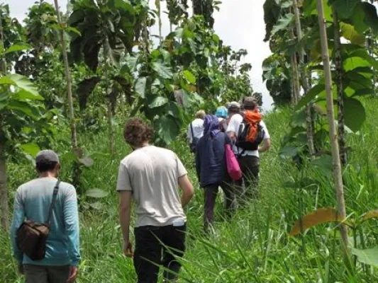 Bild: Mit Kapital und Mückenschutz - Gesellschafter von BaumInvest besuchen Ihre Bäume in Costa Rica