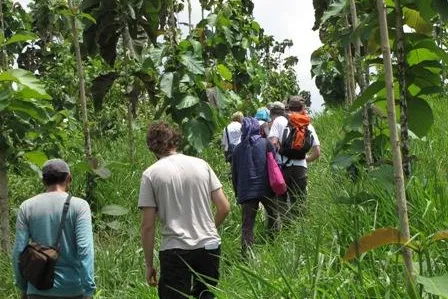 Bild: Mit Kapital und Mückenschutz - Gesellschafter von BaumInvest besuchen Ihre Bäume in Costa Rica