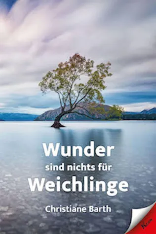 Was nach der Krise komm Bild: Was nach der Krise komm