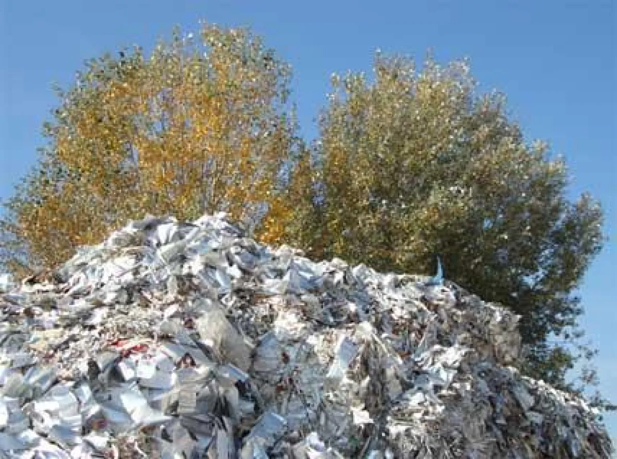 jeder Euro für die Umwelt, hilft dem Tanzclub Grün-Weiß Schermbeck