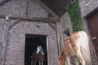 Bild: Bund Deutscher Tierfreunde e.V.