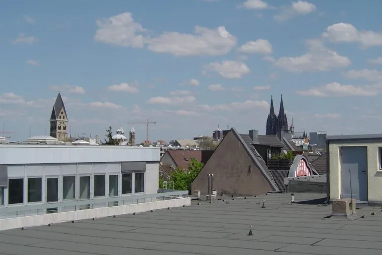 Bild: Molekulare Biomedizin an der RFH Köln studieren: Infoabend am 14. Dezember 2015