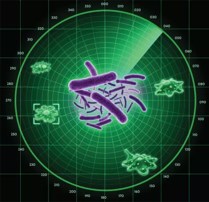 Bild: Schutzradar für Bakterien