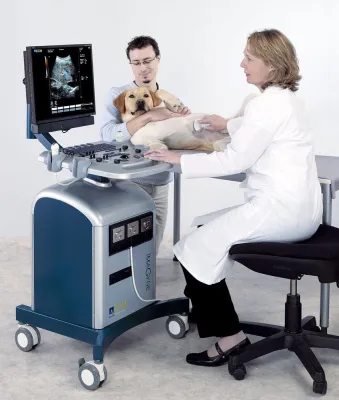 Bild: Neues Ultraschallgerät für Hunde und Katzen