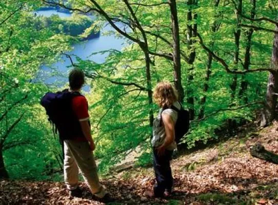 Bild: „Urwaldsteig“ und „Sauerland Höhenflug“ - Auf Schusters Rappen dem Himmel ganz nah