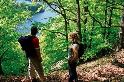 Bild: „Urwaldsteig“ und „Sauerland Höhenflug“ - Auf Schusters Rappen dem Himmel ganz nah