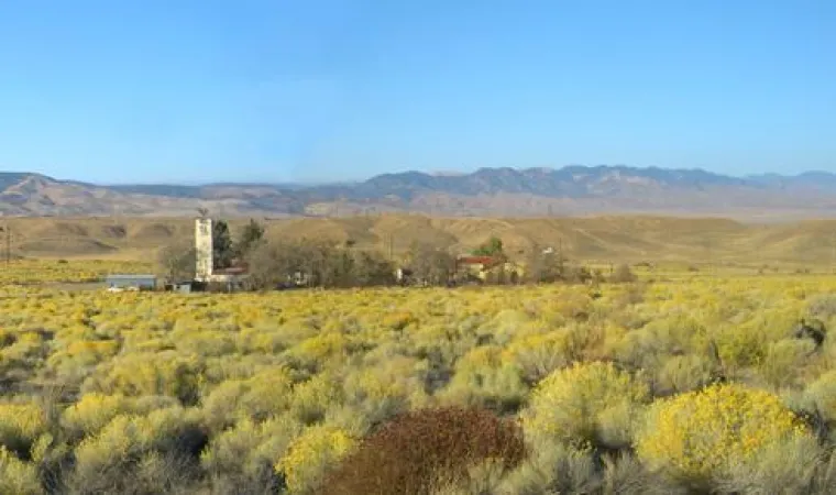 Bild: Wüsten-Office zum Mieten