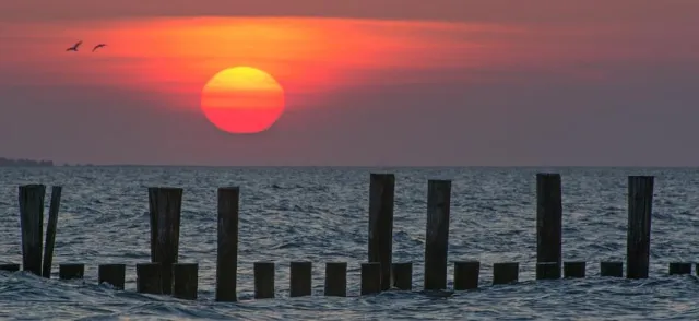 Bild: Wilder Strand und Natur pur bei der 5-tägigen Fotoreise „Strandgut und viel Mee(h)r“