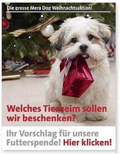 Bild: Newsletter-Abonnenten bestimmen die Empfänger der Mera Dog Weihnachtsspende