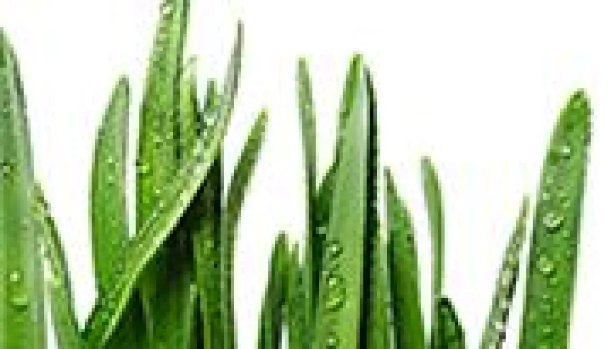 Dow AgroSciences relauncht Subbrands mit Agentur RED.