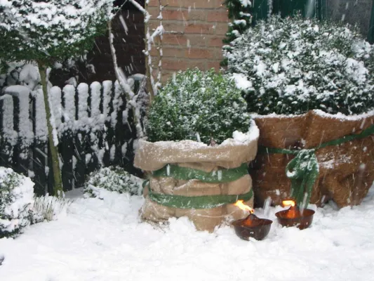 Bild: Wintersaison: Was Gartenbesitzer jetzt erledigen sollten