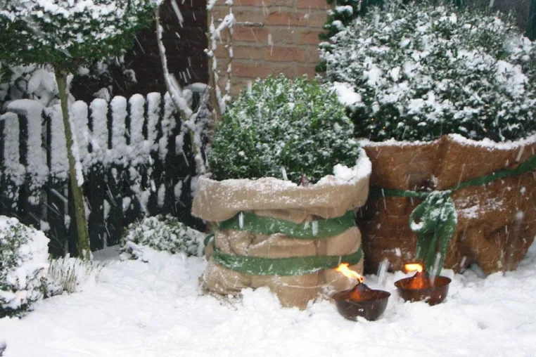 Bild: Wintersaison: Was Gartenbesitzer jetzt erledigen sollten