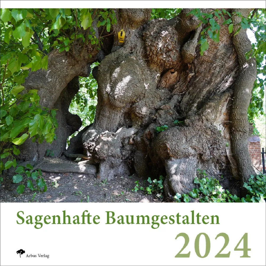 Baumgestalten 2024 - DER Baumkalender für das kommende Jahr (© Peter Klug - Arbus Verlag)