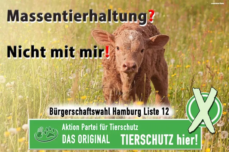 Massentierhaltung stoppen Bild: Massentierhaltung stoppen